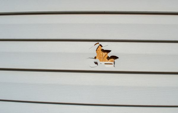 Siding Hole Repair in Idaho Falls