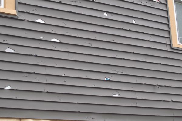 Cost of Damaged Siding Replacement in Idaho Falls