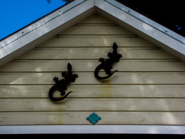 Cost of Shiplap Siding Installation in Idaho Falls